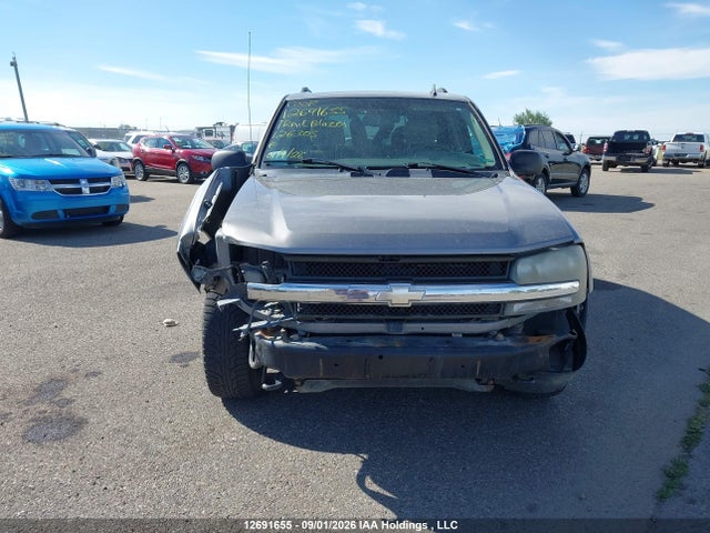 2007 Chevrolet Trailblazer Ls/lt მანქანა იყიდება აუქციონზე, vin: 1GNDT13S872126303, აუქციონის ნომერი: 12691655