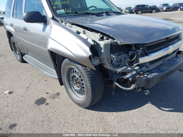 2007 Chevrolet Trailblazer Ls/lt მანქანა იყიდება აუქციონზე, vin: 1GNDT13S872126303, აუქციონის ნომერი: 12691655