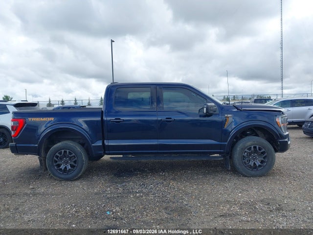 Ford F150 Supercrew 2023 1FTEW1E81PFA59879 Image 14