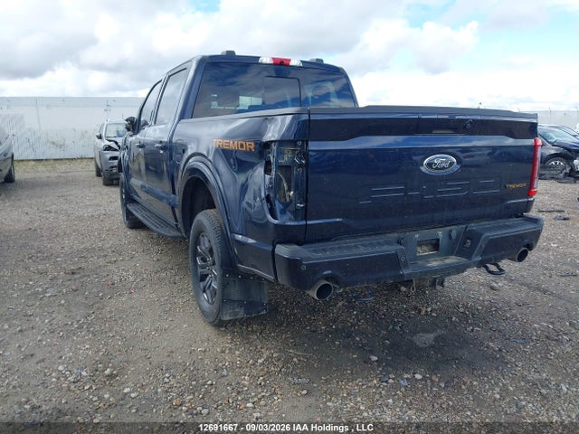 Ford F150 Supercrew 2023 1FTEW1E81PFA59879 Image 3