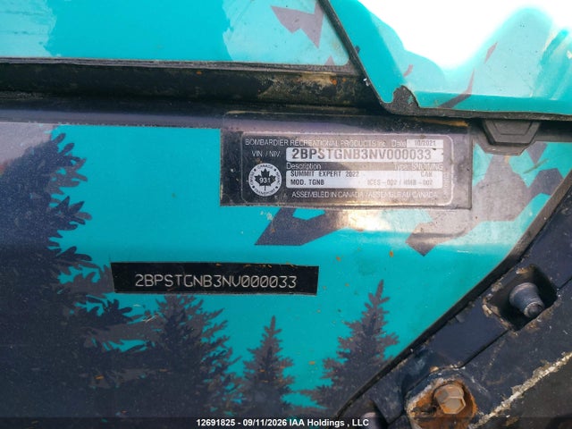 2BPSTGNB3NV000033 Skidoo Skidoo