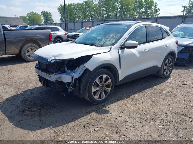 Продаж на аукціоні авто 2025 Ford Escape Platinum, vin: 1FMCU9JA5SUA38358, номер лоту: 12691872