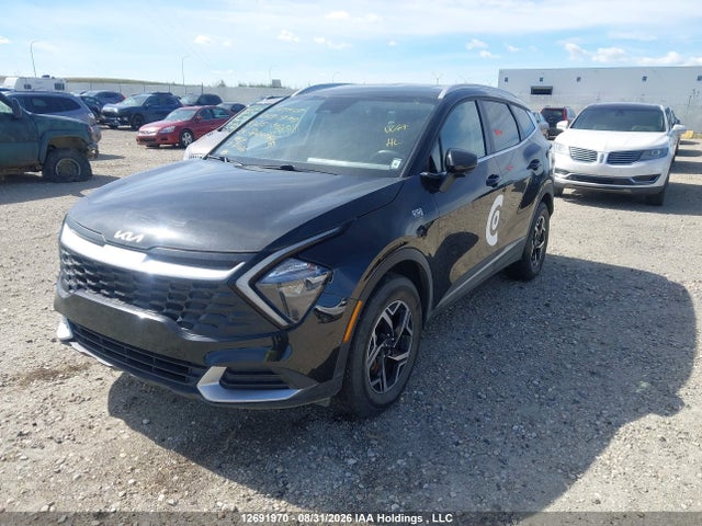 Продажа на аукционе авто 2024 Kia Sportage Lx, vin: KNDPUCDF9R7261361, номер лота: 12691970