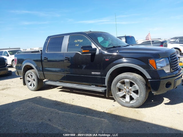 Aukcja sprzedaży 2011 Ford F-150 Fx4, vin: 1FTFW1ET7BFC60445, numer aukcji: 12691988