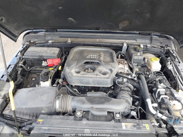 2023 Jeep Wrangler 4-door Sahara მანქანა იყიდება აუქციონზე, vin: 1C4HJXEN4PW526961, აუქციონის ნომერი: 12692167