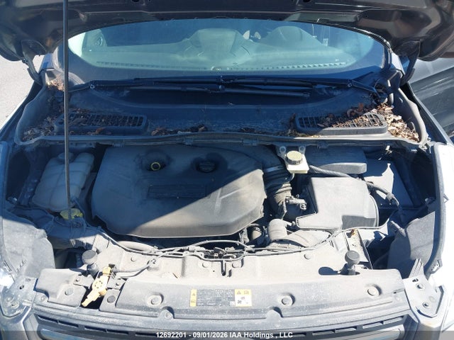 2013 Ford Escape Se მანქანა იყიდება აუქციონზე, vin: 1FMCU9G90DUB33796, აუქციონის ნომერი: 12692201