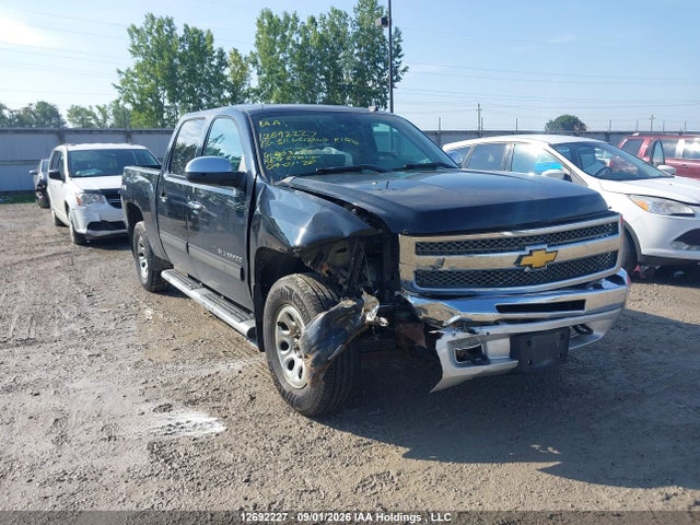 2013 Chevrolet Silverado K1500 Ls მანქანა იყიდება აუქციონზე, vin: 3GCPKREA1DG203186, აუქციონის ნომერი: 12692227