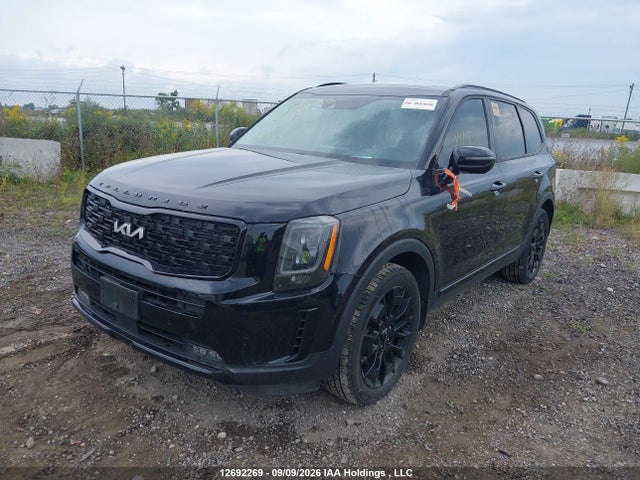 2022 Kia Telluride Nightsky/sx/sx Limited მანქანა იყიდება აუქციონზე, vin: 5XYP5DHC2NG300095, აუქციონის ნომერი: 12692269