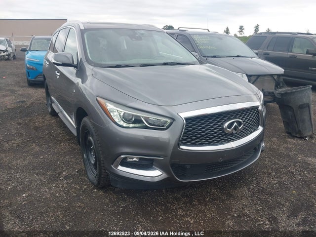 2019 Infiniti Qx60 მანქანა იყიდება აუქციონზე, vin: 5N1DL0MM5KC501775, აუქციონის ნომერი: 12692523