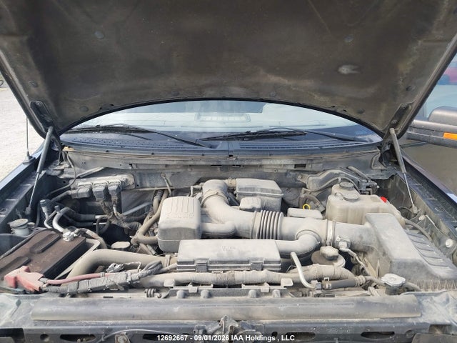 12692667 :رقم المزاد ، 1FTFW1EV6AFB72972 vin ، 2010 Ford F150 Supercrew مزاد بيع