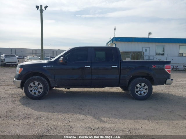 12692667 :رقم المزاد ، 1FTFW1EV6AFB72972 vin ، 2010 Ford F150 Supercrew مزاد بيع