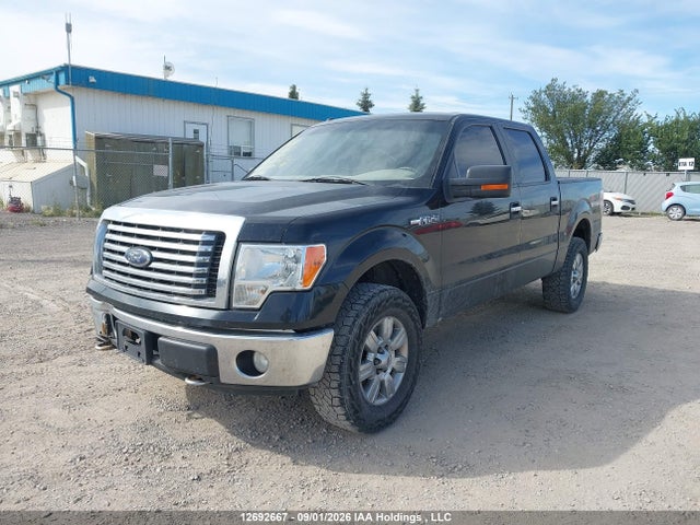 12692667 :رقم المزاد ، 1FTFW1EV6AFB72972 vin ، 2010 Ford F150 Supercrew مزاد بيع
