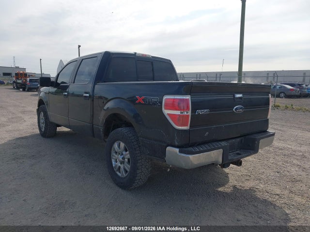 12692667 :رقم المزاد ، 1FTFW1EV6AFB72972 vin ، 2010 Ford F150 Supercrew مزاد بيع