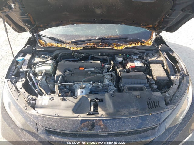 12693069 :رقم المزاد ، 2HGFC2F51LH034126 vin ، 2020 Honda Civic Lx مزاد بيع