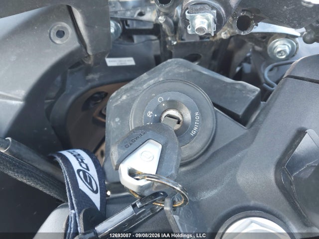 Cf Moto Ibex 800 S/t 2024 LCEPEYL18R6000745 Image 11