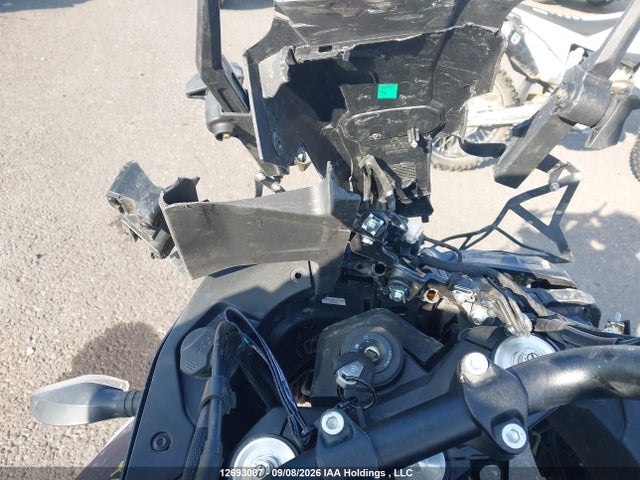 Cf Moto Ibex 800 S/t 2024 LCEPEYL18R6000745 Image 7