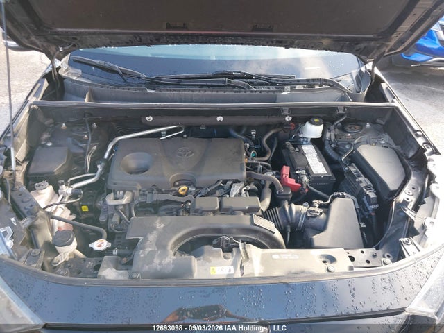 Auction sale of the 2021 Toyota Rav4 Le, vin: 2T3Z1RFV7MW148787, lot number: 12693098