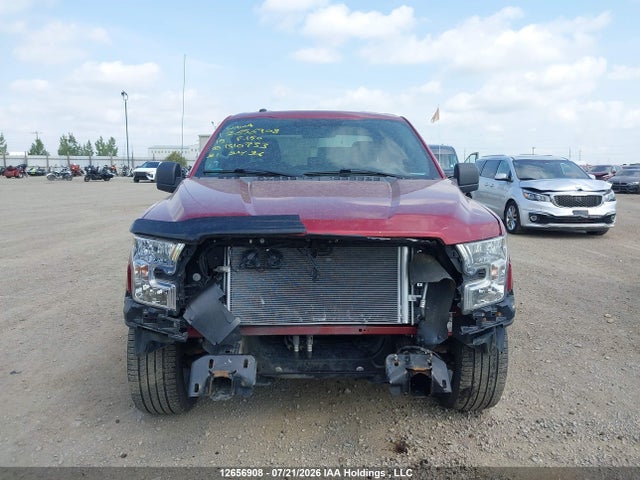 1FTEX1C81FFB10733 Ford F-150 Xlt