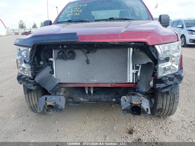 1FTEX1C81FFB10733 Ford F-150 Xlt