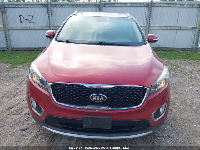 Auction sale of the 2017 Kia Sorento Ex, vin: 5XYPHDA53HG304647, lot number: 12693184
