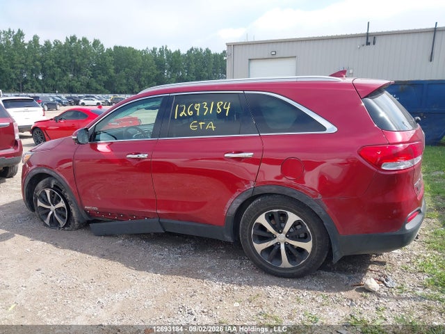 Auction sale of the 2017 Kia Sorento Ex, vin: 5XYPHDA53HG304647, lot number: 12693184