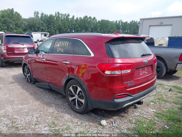 Auction sale of the 2017 Kia Sorento Ex, vin: 5XYPHDA53HG304647, lot number: 12693184