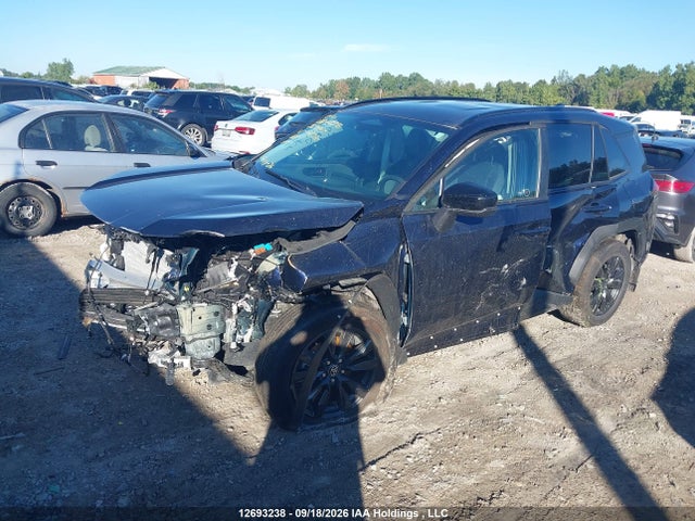 2T36CRAV1TW018720 Toyota Rav4 Xle