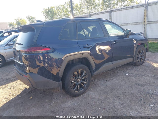 2T36CRAV1TW018720 Toyota Rav4 Xle