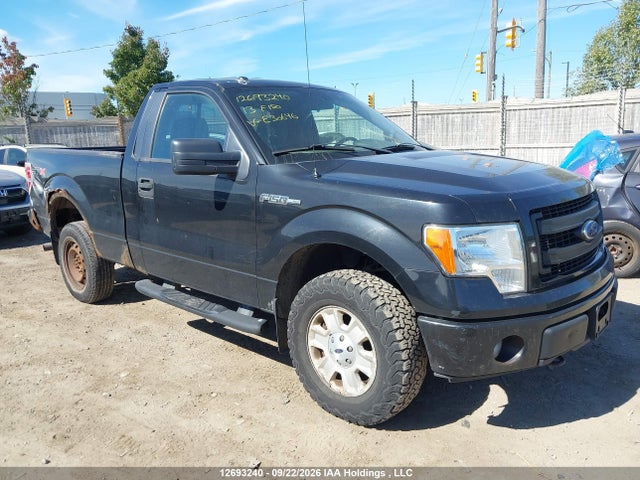 Aukcja sprzedaży 2013 Ford F150, vin: 1FTMF1EMXDKE30646, numer aukcji: 12693240