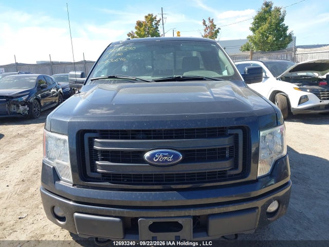 Auction sale of the 2013 Ford F150, vin: 1FTMF1EMXDKE30646, lot number: 12693240