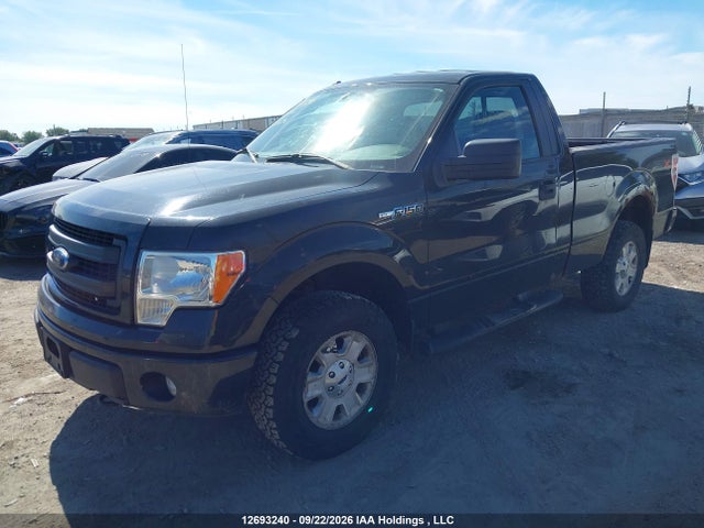 Auction sale of the 2013 Ford F150, vin: 1FTMF1EMXDKE30646, lot number: 12693240