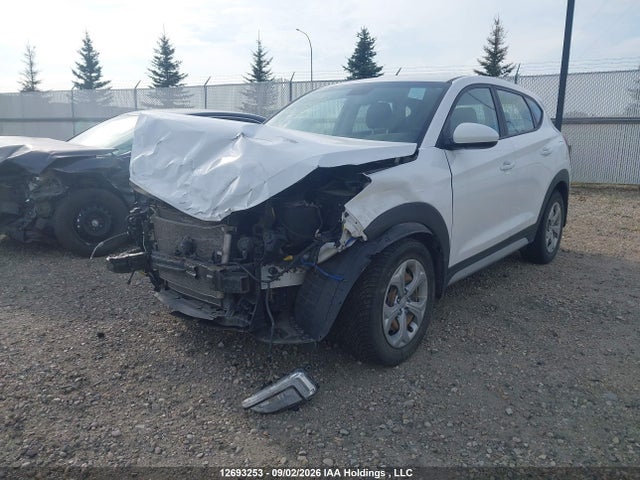 12693253 :رقم المزاد ، KM8J23A41KU948528 vin ، 2019 Hyundai Tucson Se مزاد بيع