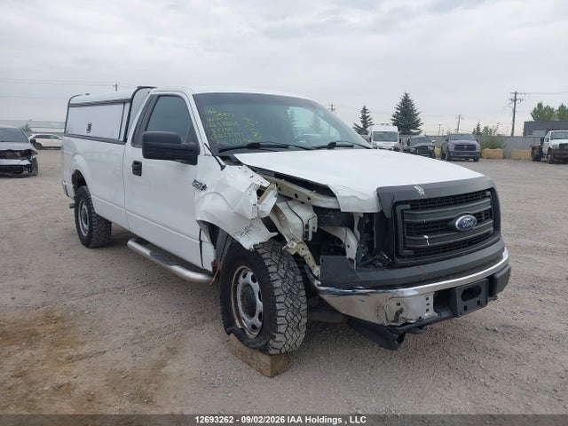 Продаж на аукціоні авто 2013 Ford F150, vin: 1FTMF1EM5DKE25791, номер лоту: 12693262
