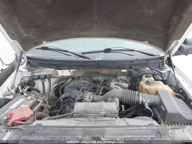 12693262 :رقم المزاد ، 1FTMF1EM5DKE25791 vin ، 2013 Ford F150 مزاد بيع