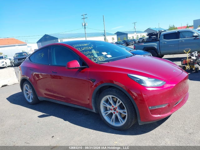 Продажа на аукционе авто 2024 Tesla Model Y, vin: 7SAYGDEE2RF050586, номер лота: 12693310