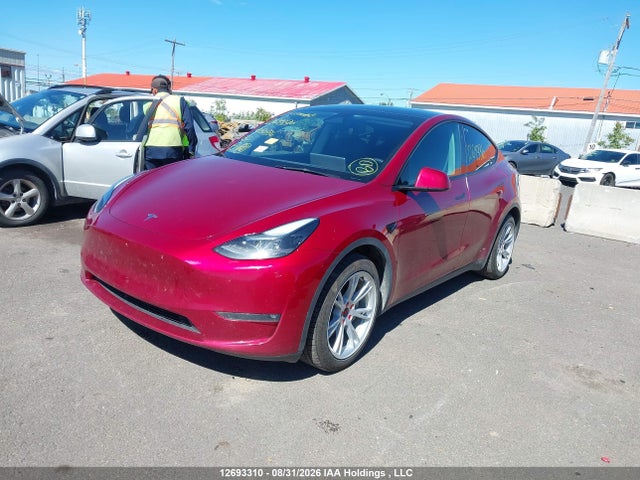 Продажа на аукционе авто 2024 Tesla Model Y, vin: 7SAYGDEE2RF050586, номер лота: 12693310