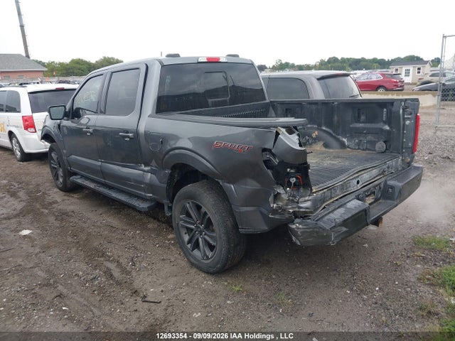 Ford F-150 Xlt 2023 1FTFW1E81PFD00277 Image 3