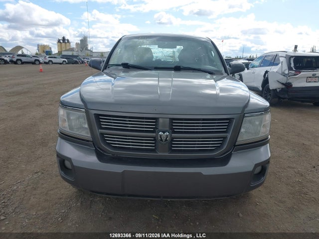 12693366 :رقم المزاد ، 1D7RW3GP7BS503435 vin ، 2011 Dodge Dakota Slt مزاد بيع