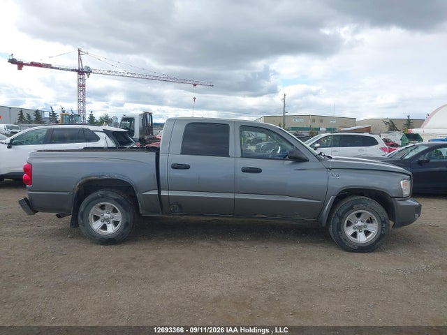 12693366 :رقم المزاد ، 1D7RW3GP7BS503435 vin ، 2011 Dodge Dakota Slt مزاد بيع