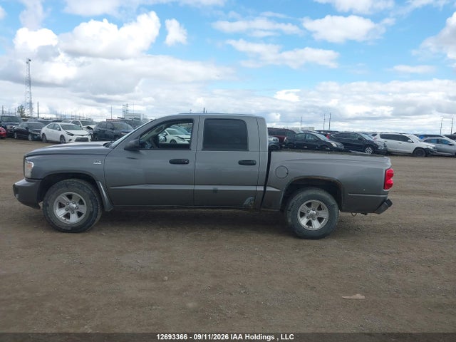 12693366 :رقم المزاد ، 1D7RW3GP7BS503435 vin ، 2011 Dodge Dakota Slt مزاد بيع