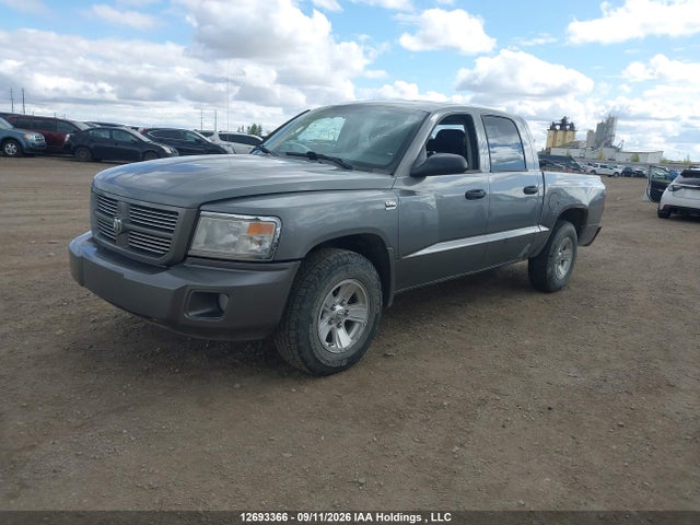 12693366 :رقم المزاد ، 1D7RW3GP7BS503435 vin ، 2011 Dodge Dakota Slt مزاد بيع