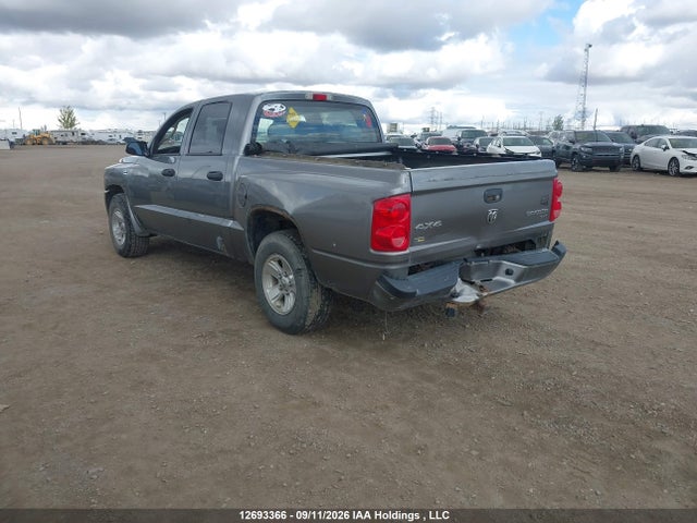 12693366 :رقم المزاد ، 1D7RW3GP7BS503435 vin ، 2011 Dodge Dakota Slt مزاد بيع