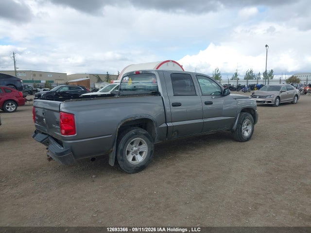 12693366 :رقم المزاد ، 1D7RW3GP7BS503435 vin ، 2011 Dodge Dakota Slt مزاد بيع