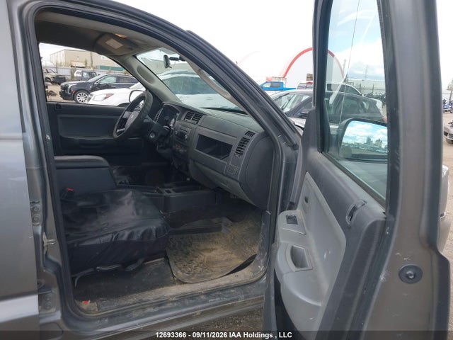 12693366 :رقم المزاد ، 1D7RW3GP7BS503435 vin ، 2011 Dodge Dakota Slt مزاد بيع