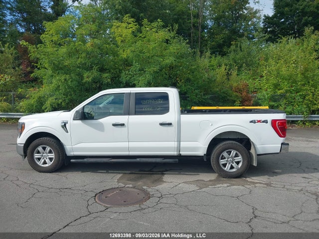 Ford F150 Supercrew 2023 1FTFW1E88PFC06672 Image 14