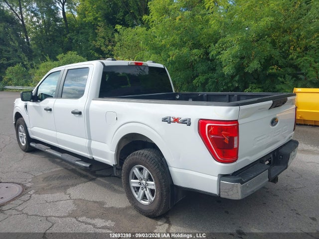 Ford F150 Supercrew 2023 1FTFW1E88PFC06672 Image 3