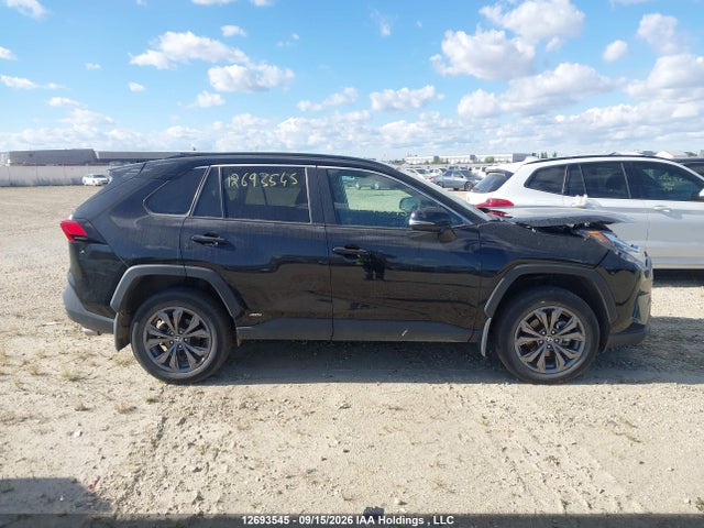 2025 Toyota Rav4 Xle/woodland Edition მანქანა იყიდება აუქციონზე, vin: 2T3RWRFV4SW288665, აუქციონის ნომერი: 12693545