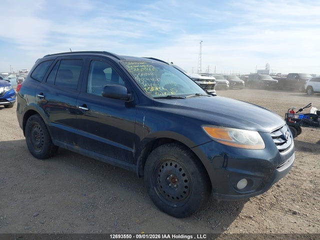 Auction sale of the 2010 Hyundai Santa Fe, vin: 5NMSHDAG9AH394085, lot number: 12693550