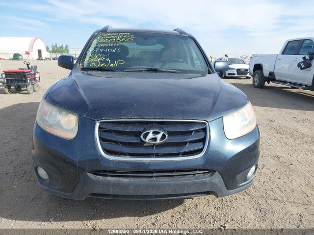 Aukcja sprzedaży 2010 Hyundai Santa Fe, vin: 5NMSHDAG9AH394085, numer aukcji: 12693550