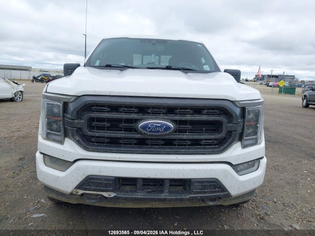 Ford F-150 Xlt 2021 1FTEW1EP4MKD63461 Image 12